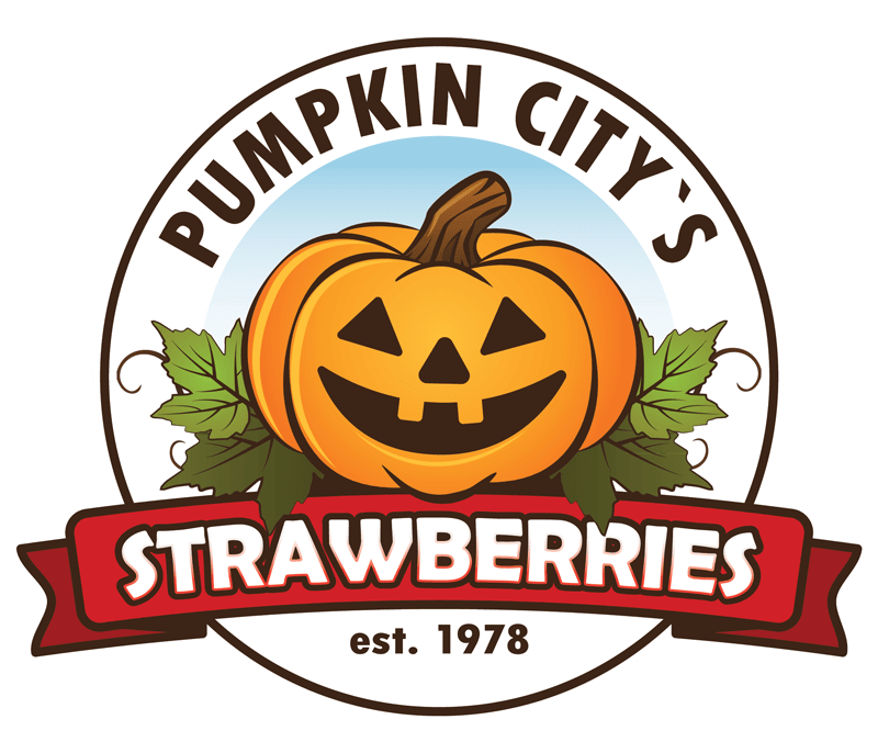 Home - Pumpkin City