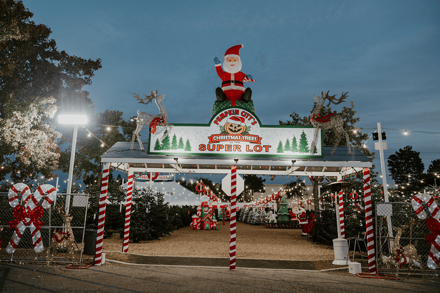 Photo of entrance to Christmas Tree Lot 23